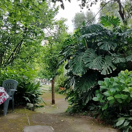 San Renato House סורנטו