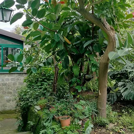 San Renato House דירה סורנטו