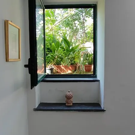 דירה San Renato House